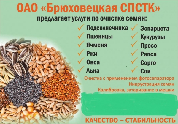 Как хранить овес в домашних условиях Как хранить овес в домашних условиях