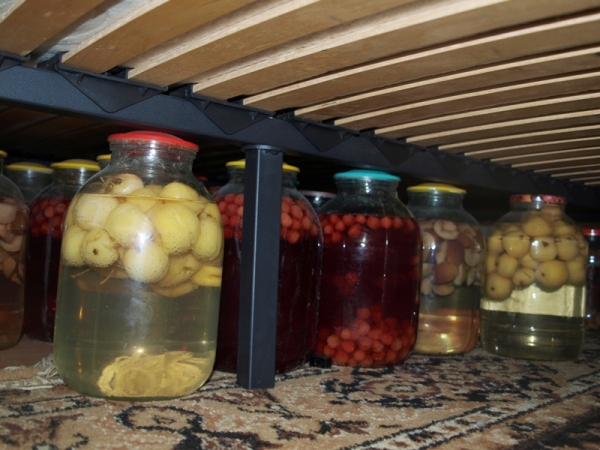 Вакуумные системы для хранения продуктов в домашних условиях