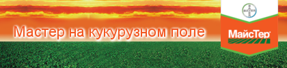 �����: ������� - ������ �� ���������� ����