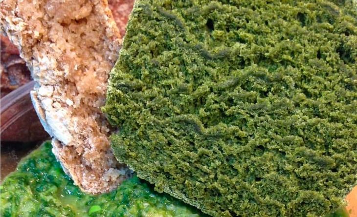 Одомашнить обыкновенный борщевик для хлеба, напитков и десертов предложили итальянские ученые