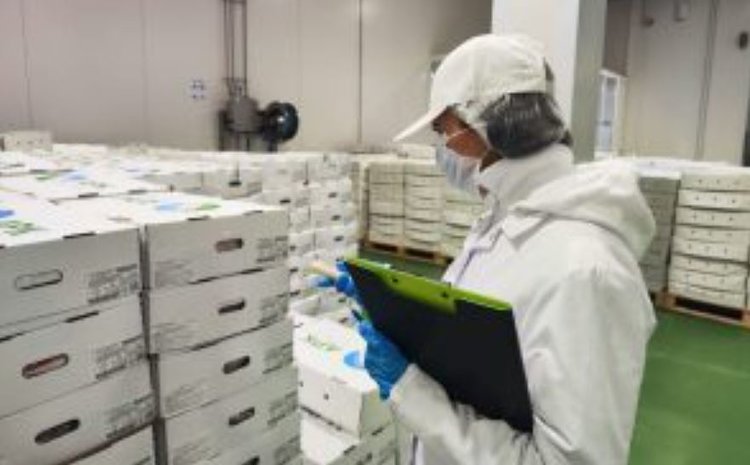 Курская область в 2 раза увеличила поставки мясопродукции во Вьетнам