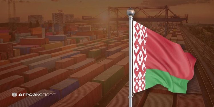 Российский агроэкспорт в в Беларусь вырос на 20% в начале 2025 года
