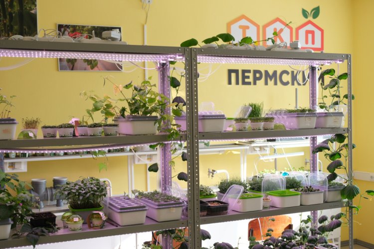 В Пермском крае омолаживают кадры в АПК 