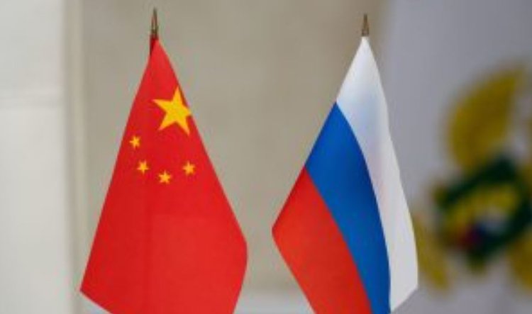 Россия наращивает поставки свекловичного жома в Китай 
