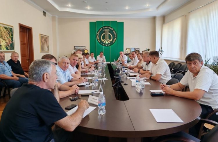 Для краснодарского риса текущий год сопряжен с вызовами
