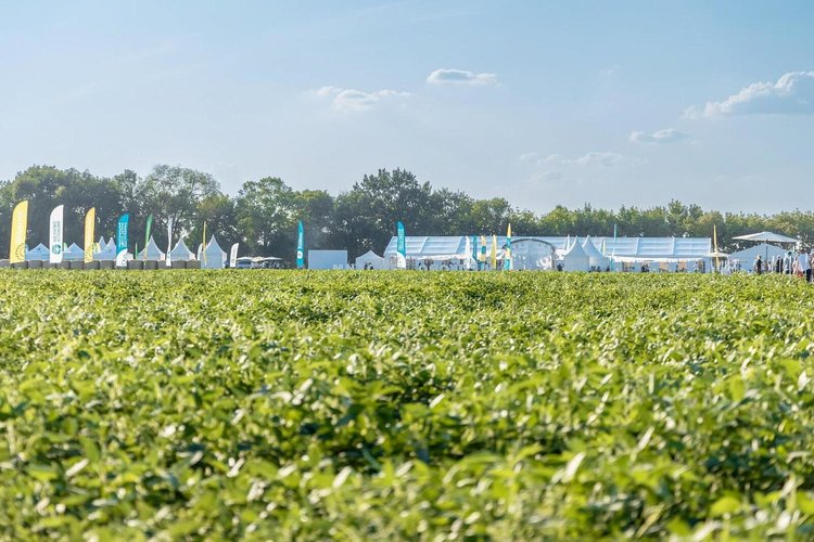 В Новокубанском районе Краснодарского края пройдет смотр достижений отечественной селекции культур