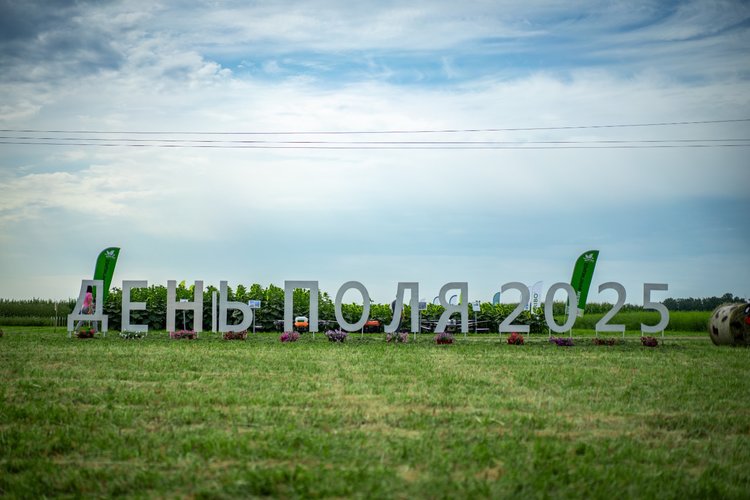 Не менее 3 млн тонн зерна и зернобобовых соберут в Башкортостане