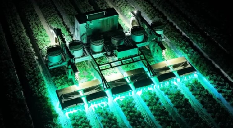 УФ-роботы набирают популярность в защите растений без химикатов