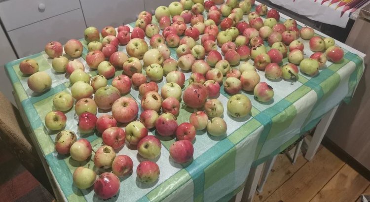 Как сушить яблоки с кулинарным лайфхаком