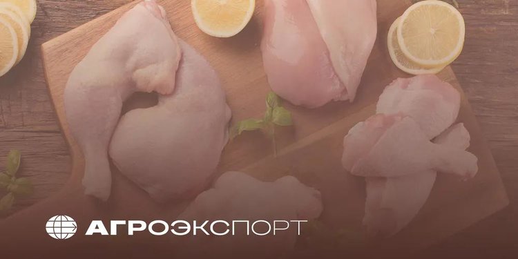 В первом полугодии 2025 российские птицеводы нарастили экспорт мяса на 30 процентов