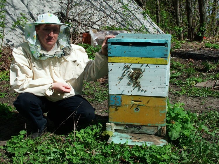 Какой мед принимать при неврозе, а какой при простуде, рассказал доцент Курского ГАУ Игорь Комаров