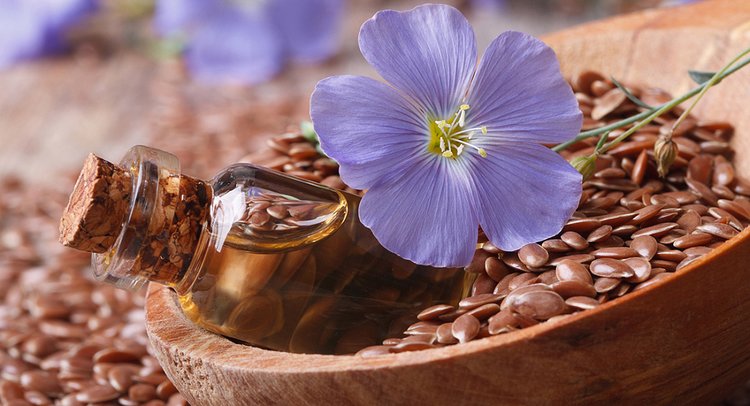 Отгрузки семян льна за рубеж из Новороссийска за первое полугодие 2025 года выросли в 2 раза