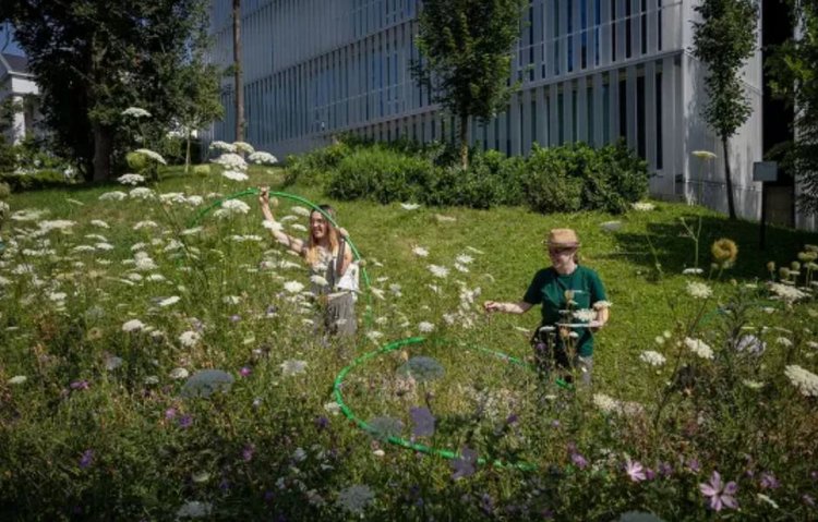 Хорошие для проживания людей города можно узнать по цветам и их опылителям