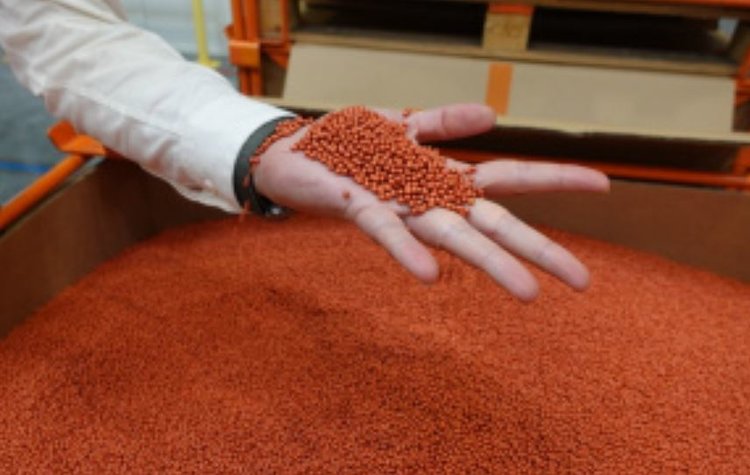 Резидент ОЭЗ «Липецк» открыл новый сезон производства семян сахарной свёклы