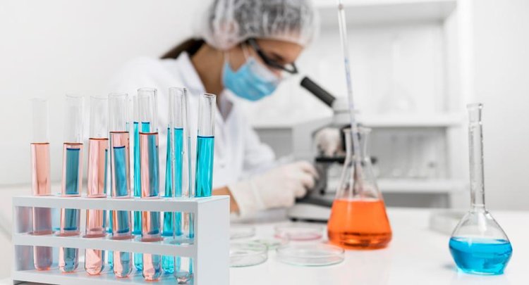 Красное вино из Абруццо российские эксперты проверили на пестициды 