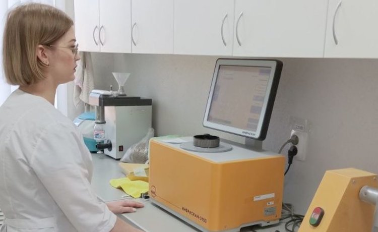 Подсолнечник в Красногвардейском районном округе Ставрополья удался 