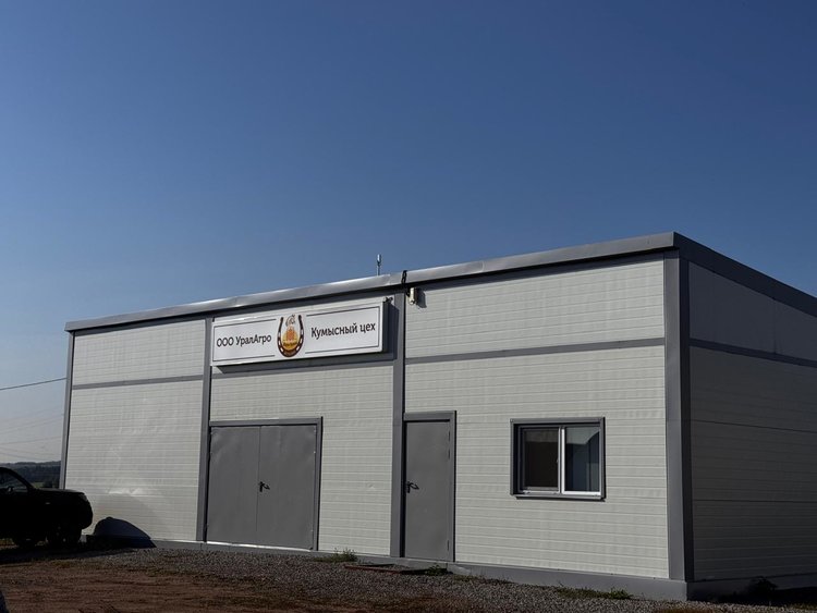 300 литров кобыльего молока в день производит новый дипломант проекта «Продукт Башкортостана»