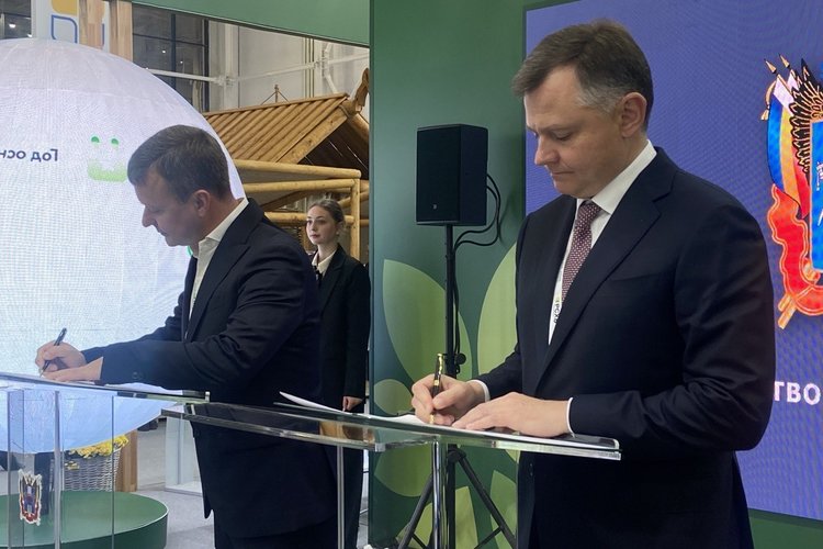 Интенсивный яблоневый сад на тысячу га появится в Ростовской области 