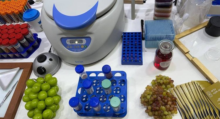 Новаторскую методику по выявлению антибиотиков в урожае представляет ЦОК АПК на «Золотой осени – 2025»