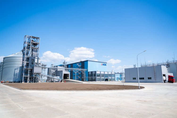 Льняное масло из Ростовской области отправилось в Китай, Турцию и Чили