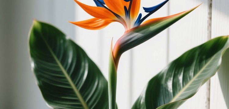 У стрелиции сломалась стрела – что делать - фото