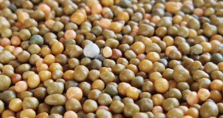 Спад на мировых рынках удобрений в 2026 году спрогнозировали аналитики - фото