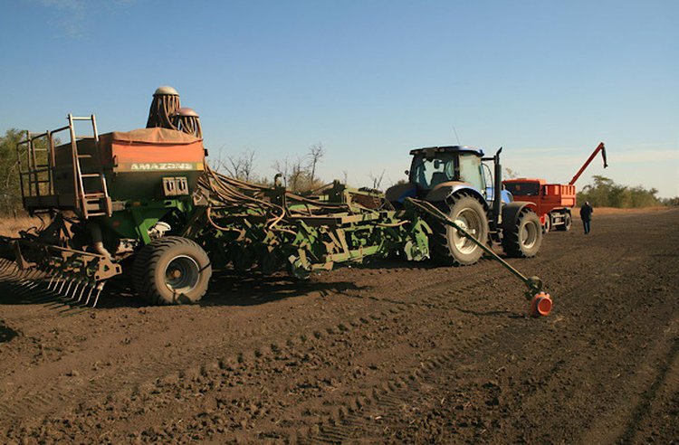 В Калмыкии увеличили площади озимых зерновых под урожай 2026 - фото