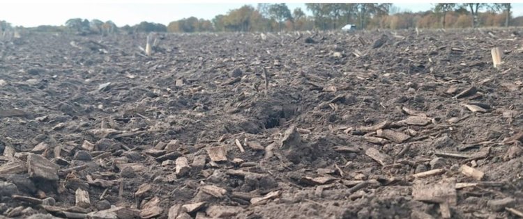 Во Фландрии муниципальную щепу используют для улучшения почвы на фермерских полях