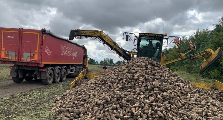 К 10 ноября тамбовские аграрии собрали свыше 5 млн тонн сахарной свеклы