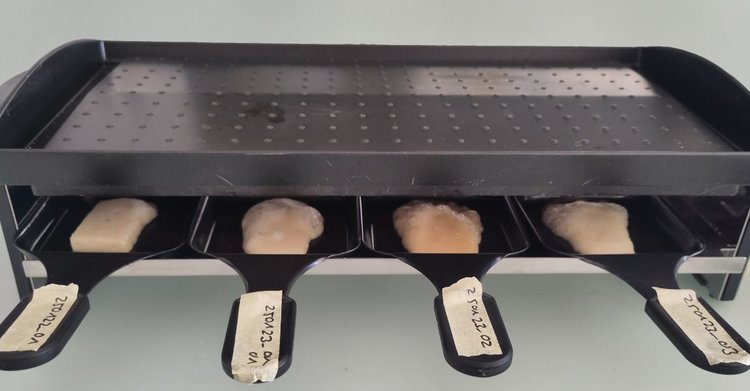 Из жмыха подсолнечника ученые приготовили вкусный сыр