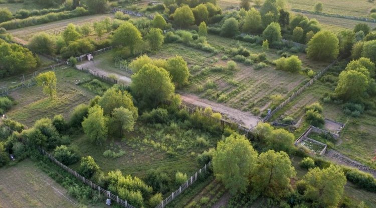 Какие проблемы есть сегодня у культуртехнической мелиорации, рассказали специалисты 