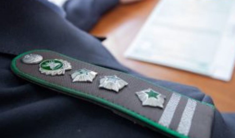 В Ростовской области собственникам сельхоззаброшки придется заплатить повышенный налог: сумма немалая