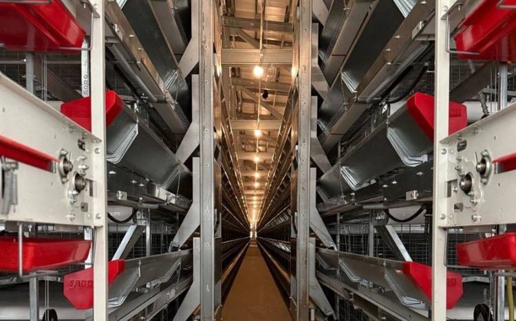 В Смоленской области завершена модернизация крупнейшей птицефабрики