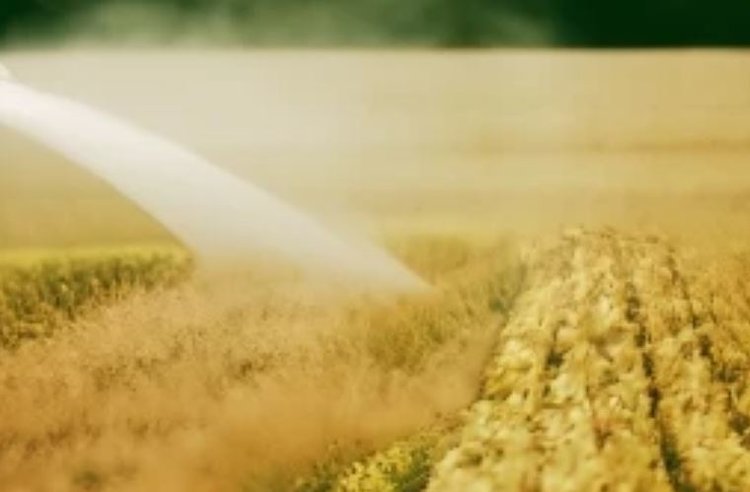 Суд ЕС серьезно ограничивает возможности Европейской комиссии по продлению разрешений на использование пестицидов - фото