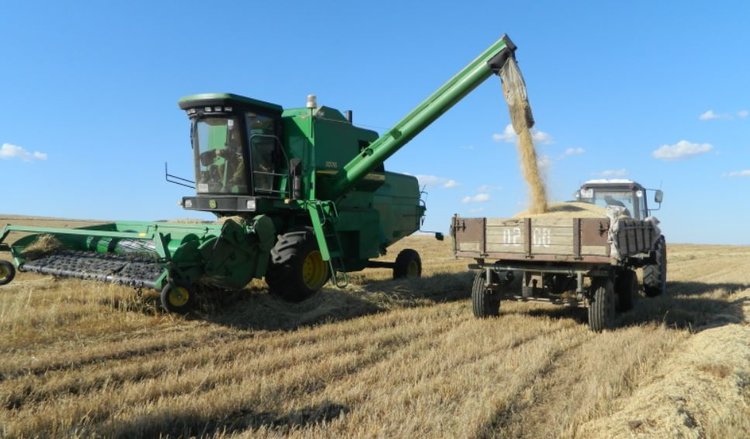 Итоги уборочной 2025 подвели в Забайкальском крае