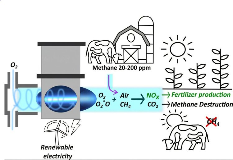 Климат и коровы: плазменно-каталитическая система сократит выбросы метана от ферм КРС - фото