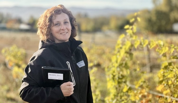 Устойчивые сорта винограда позволят сократить использование пестицидов и добиться прогресса в направлении органического виноградарства - фото