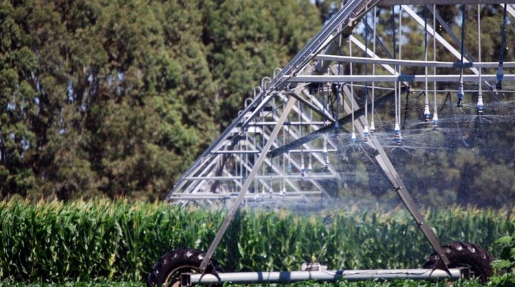 Аргентина стремительно увеличивает площади под орошением с включением стоков животноводства