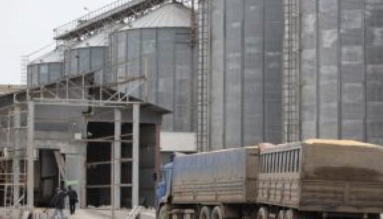 Через махачкалинский порт в Иран в ноябре отправлено свыше 80 тысяч тонн зерна