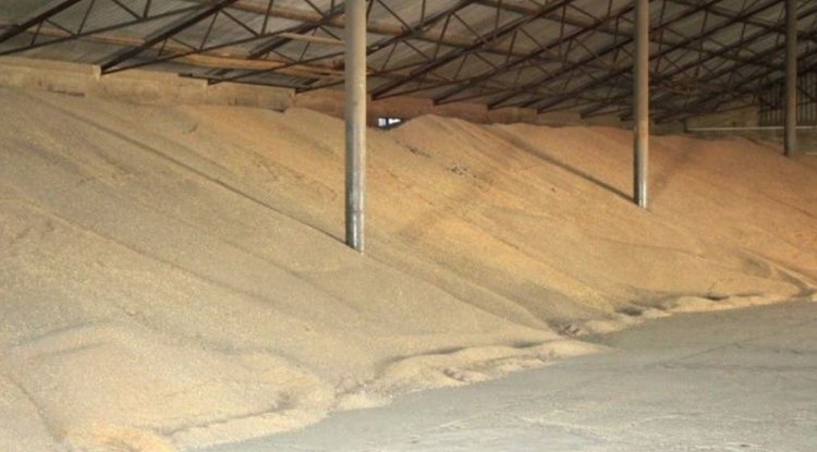 Иркутские семхозы хранят свой золотой запас согласно нормам и стандартам