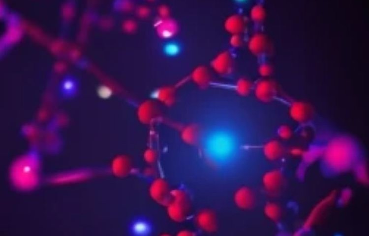 В Индии на ежегодном общем собрании PMFAI обсудили будущее агрохимии