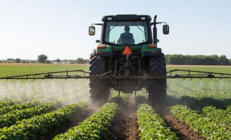 Итоги фитосанитарного года 2025 в Тюменской области: кто вредил и как боролись