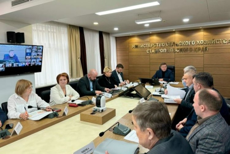 Озимые Ставрополья под урожай 2026 защищают от болезней и грызунов