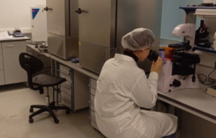 К скоростному тестированию кормов на токсичность привлекают инфузорий - фото