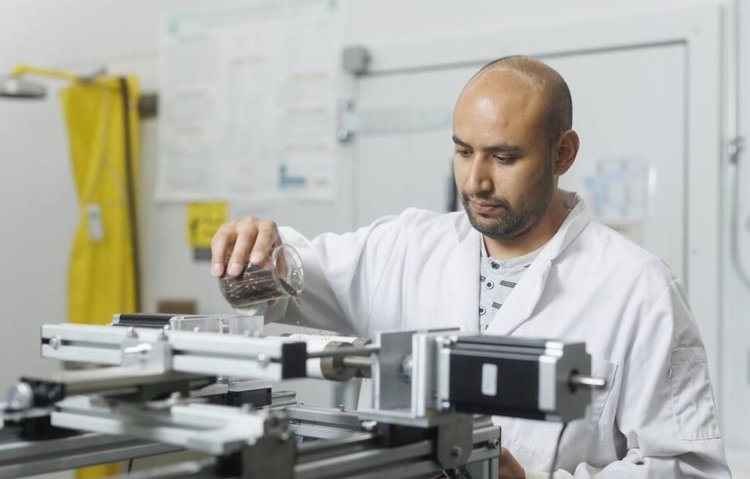 Извлечь из крошечного семени рапса огромную прибыль обещает новая технология обработки