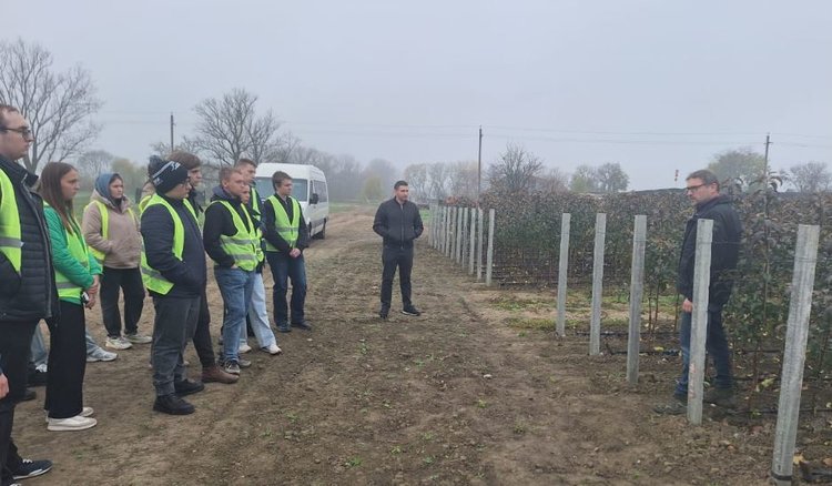 Крупнейший плодовый питомник России производит в год свыше 3,5 млн саженцев семечковых и косточковых - фото