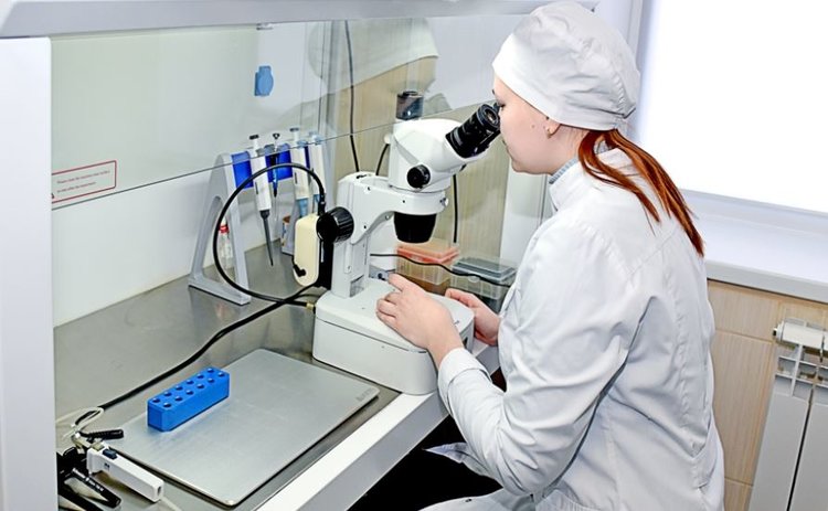 Чувашский ГАУ стал обладателем двух новых патентов в области биотехнологии и ветеринарной медицины