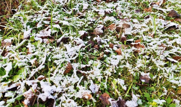 Когда плюс дает минус. Семь факторов риска мягкой зимы - фото