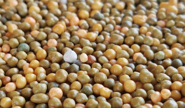 В предстоящие пять лет российские производители минудобрений доведут выпуск до 80 млн тонн