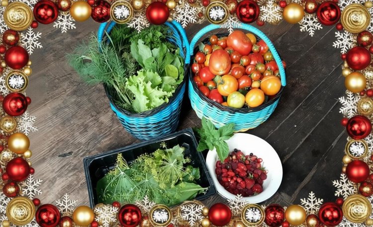 Новогодний огород: составляем карту желаний на урожай 2026 - фото